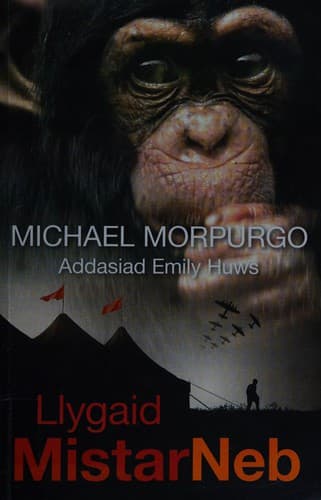 Tapa de Llygaid Mistar Neb