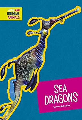 Tapa de Sea Dragons