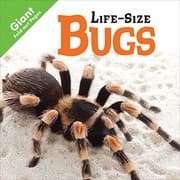 Tapa de Bugs