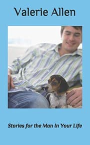 Tapa de Stories for the Man In Your Life