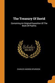 Tapa de The Treasury of David