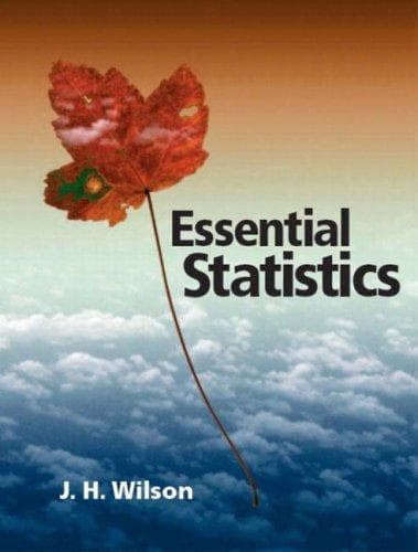 Tapa de Essential Statistics