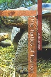 Tapa de The Turtles of Tasman