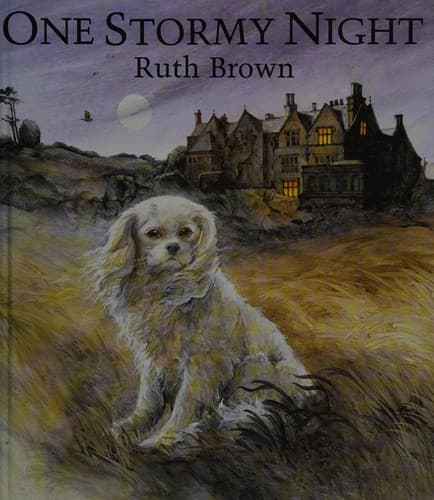 Tapa de One stormy night