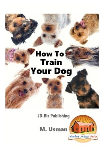 Tapa de How To Train Your Dog