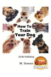 Tapa de How To Train Your Dog