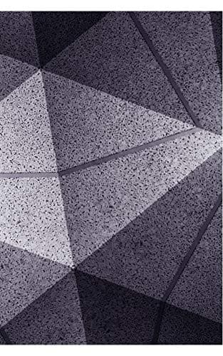 Tapa de The Triangular Fold