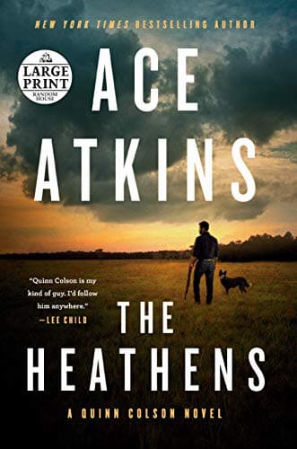 Tapa de The Heathens