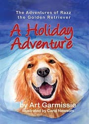 Tapa de A Holiday Adventure