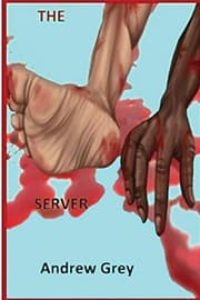 Tapa de The Server