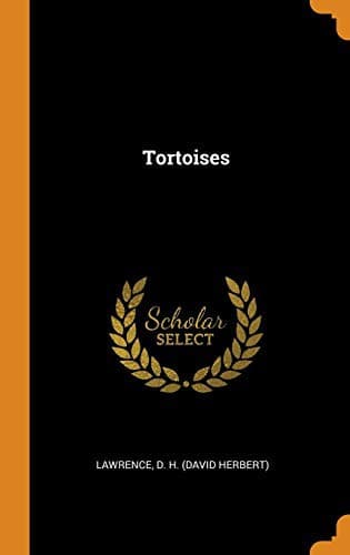 Tapa de Tortoises