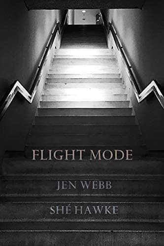 Tapa de Flight Mode