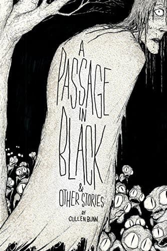 Tapa de A Passage in Black