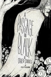 Tapa de A Passage in Black