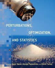 Tapa de Perturbations, Optimization, and Statistics