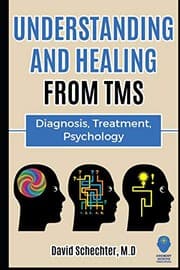 Tapa de Understanding and Healing from TMS