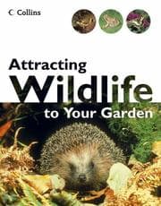 Tapa de Attracting Wildlife to Your Garden