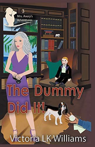 Tapa de The Dummy Did It