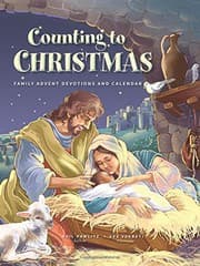 Tapa de Counting to Christmas