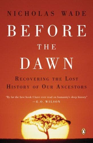Tapa de Before the Dawn