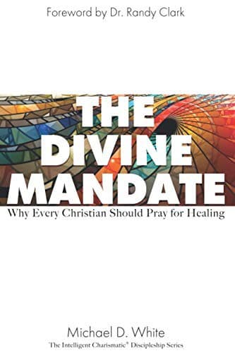 Tapa de The Divine Mandate
