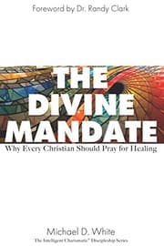Tapa de The Divine Mandate