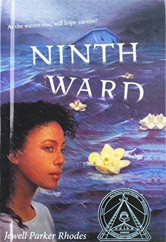 Tapa de Ninth Ward