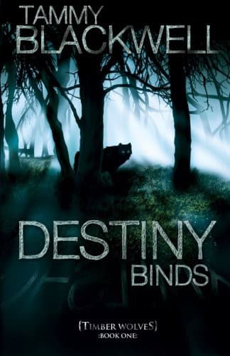 Tapa de Destiny Binds