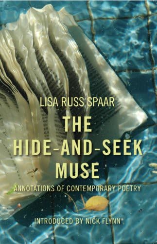 Tapa de The Hide-and-Seek Muse