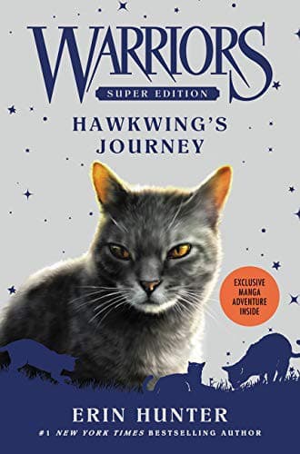 Tapa de Warriors Super Edition