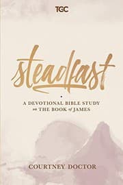 Tapa de Steadfast