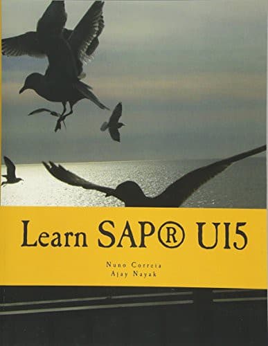 Tapa de Learn SAPUI5