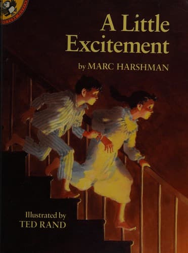 Tapa de A Little Excitement