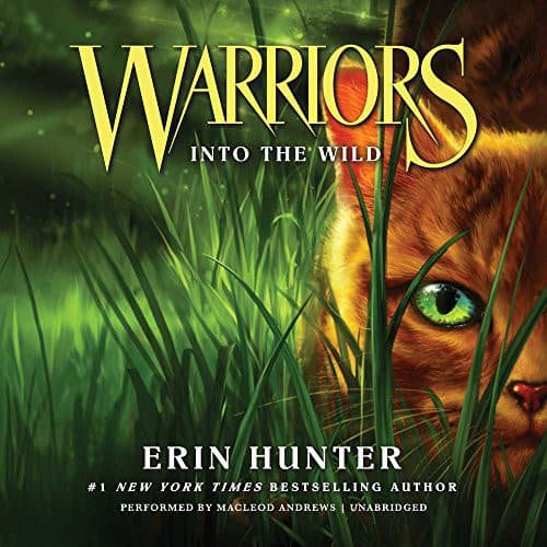 Tapa de Warriors #1