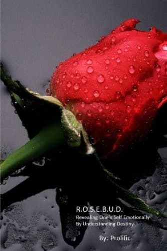 Tapa de R.O.S.E. B.U.D.