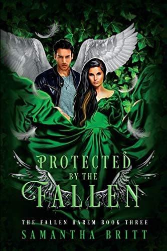 Tapa de Protected by the Fallen