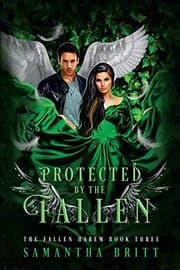 Tapa de Protected by the Fallen