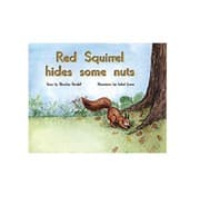 Tapa de Red Squirrel Hides Some Nuts