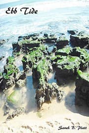 Tapa de Ebb Tide