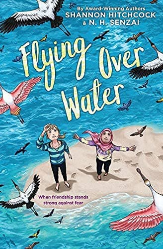 Tapa de Flying Over Water