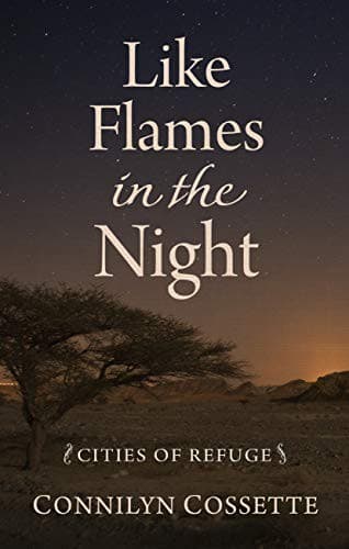 Tapa de Like Flames in the Night