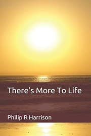 Tapa de There's More To Life