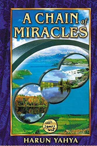 Tapa de A chain of Miracles