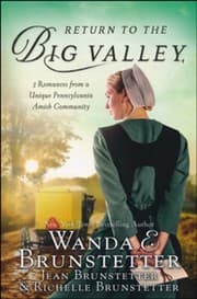 Tapa de The Return to the Big Valley
