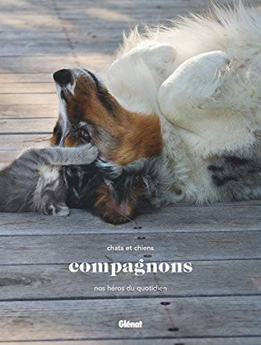 Tapa de Compagnons