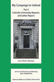 Tapa de My Campaign in Ireland Volume I