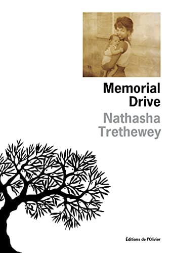 Tapa de Memorial Drive