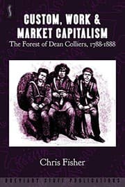 Tapa de Custom, Work & Market Capitalism