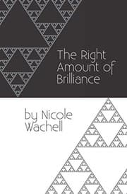 Tapa de The Right Amount of Brilliance