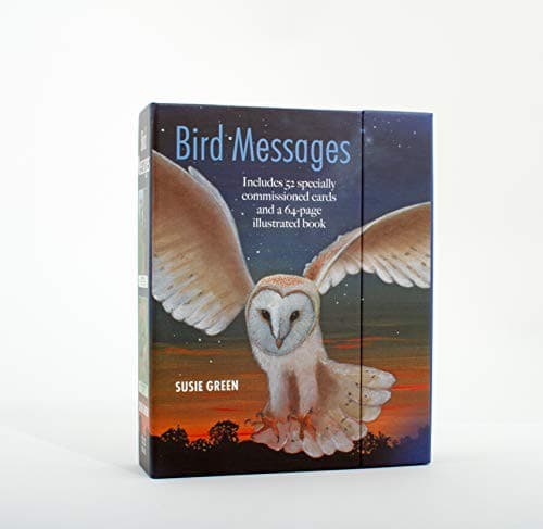 Tapa de Bird Messages